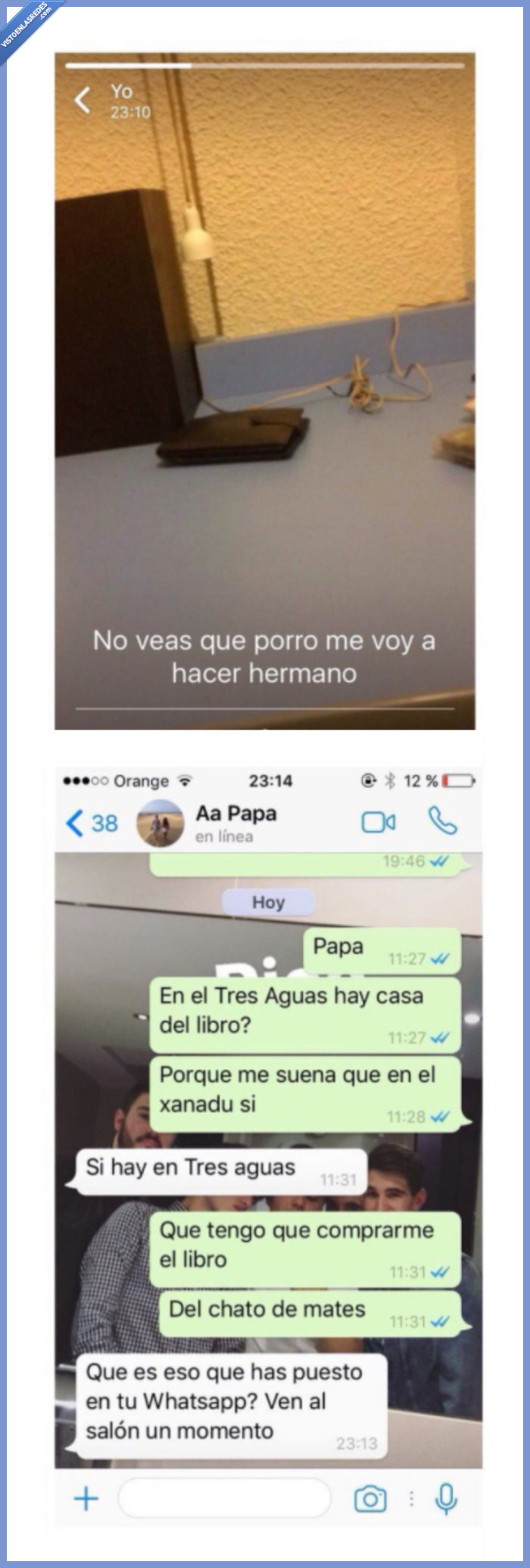 whatsapp,stories,burro,niño