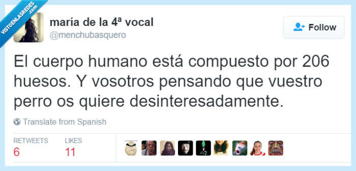 perro,huesos,querer,206,interes