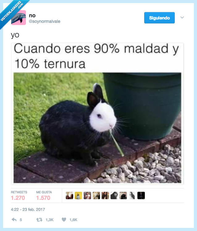 conejo,maldad,ternura