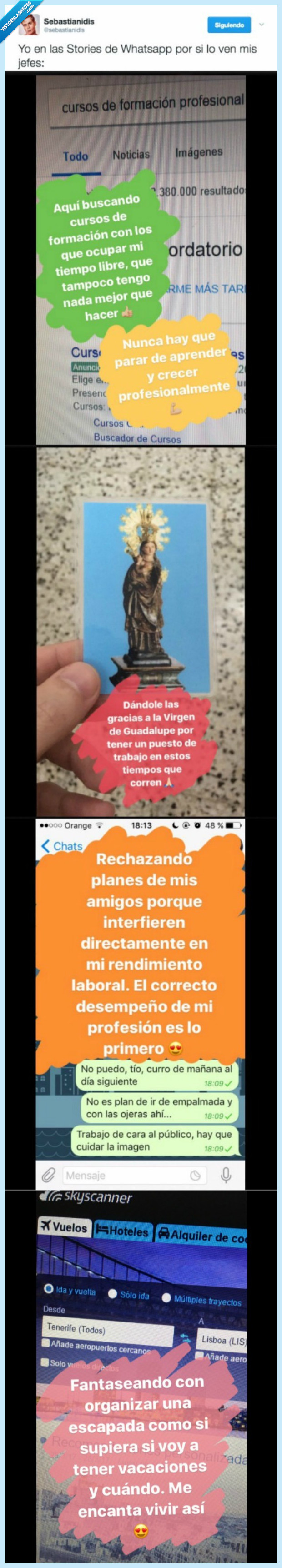 WHATSAPP,STORIES,JEFE,EMPLEADO