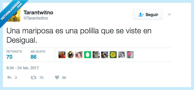 mariposa,desigual,vida,chula