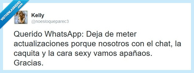 whatsapp,wa,actualizaciones,caquita,carita,chat