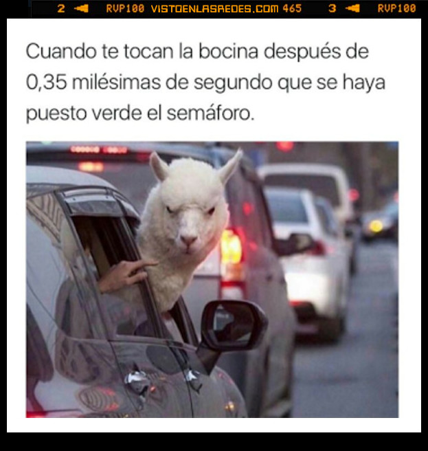 llama,cabrear,coche,pitar