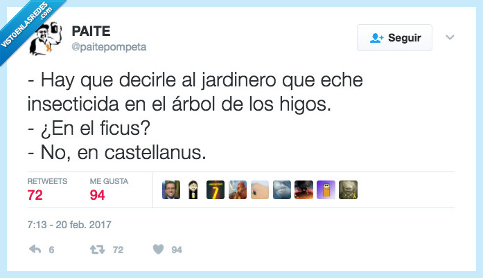 chiste,higo,jardinero,ficus,castellanus