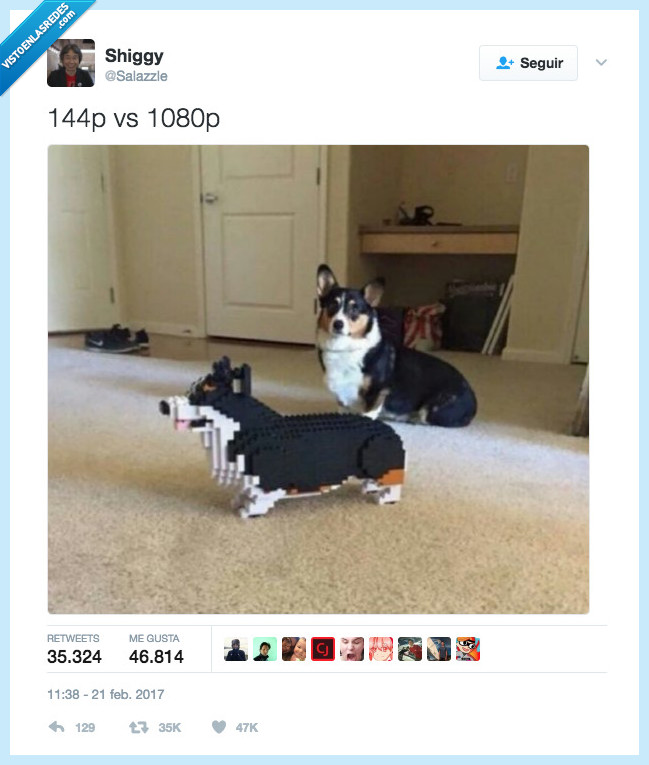 perro,hd,lego,descargar