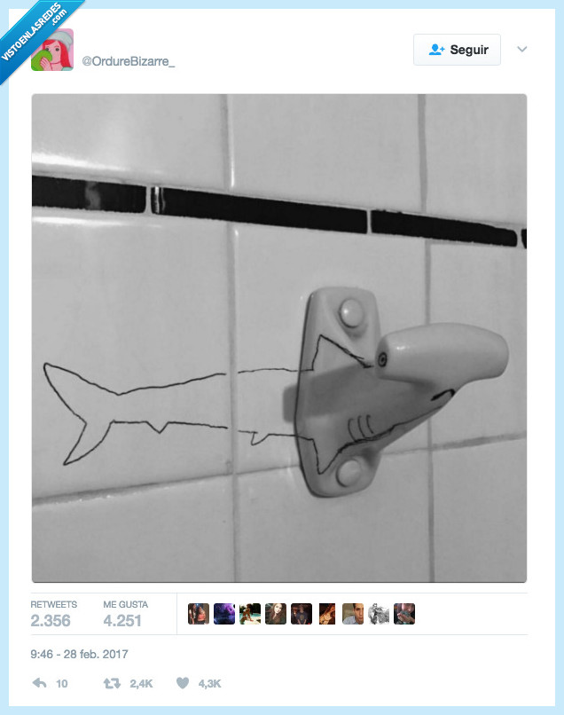 tibur&oacute;n,percha,imaginaci&oacute;n