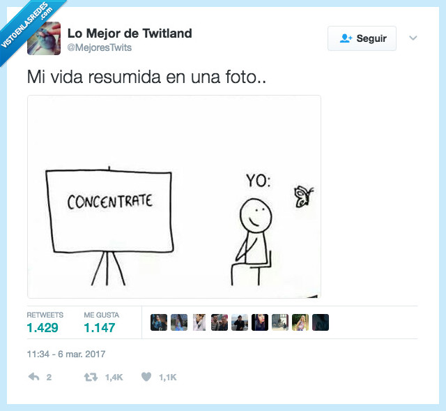 cerebro,mono,concentración
