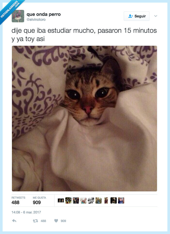 estudiar,mucho,pasar