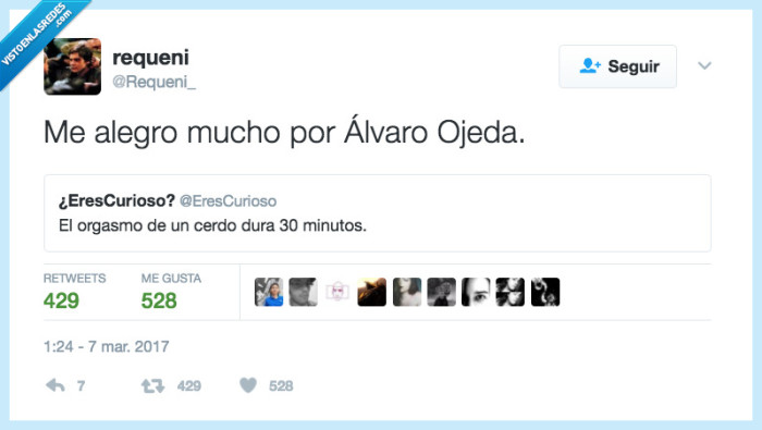 alvaro ojeda,cerdo