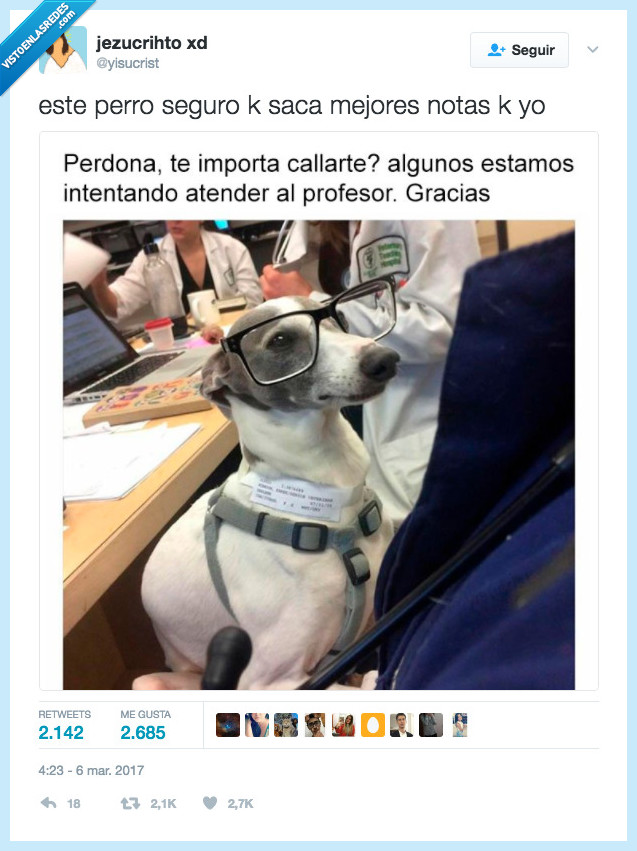 perro,atender,clase