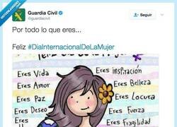 Enlace a La Guardia Civil la ha 