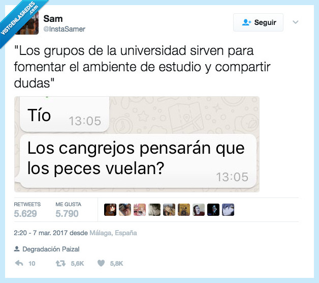 grupo,clase,whatsapp,pez,cangrejo