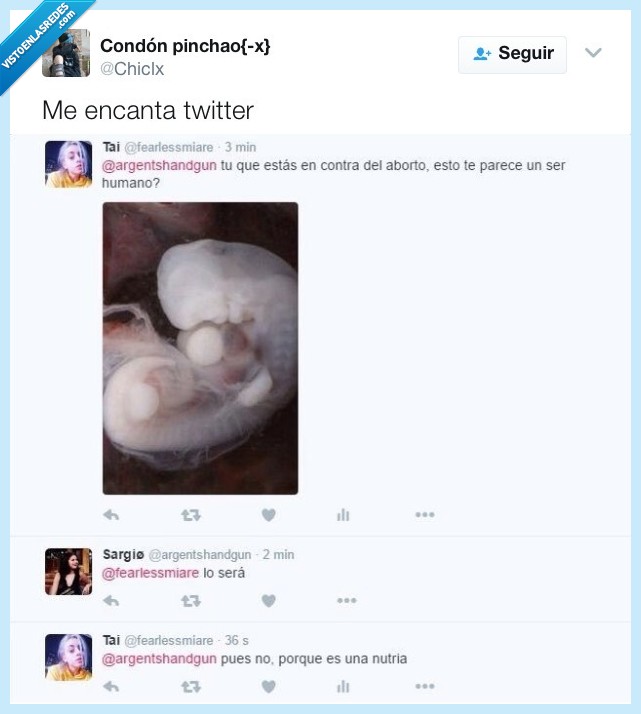 zasca,twitter,aborto