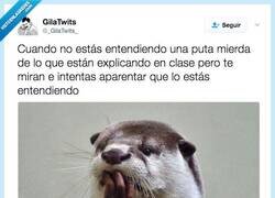 Enlace a Está pasando en tu clase por @_GilaTwits_