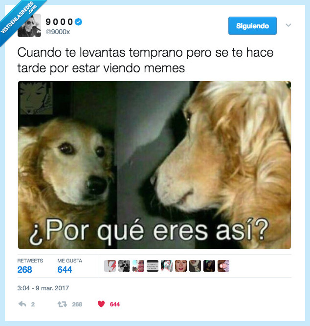memes,tarde,levantar,temprano