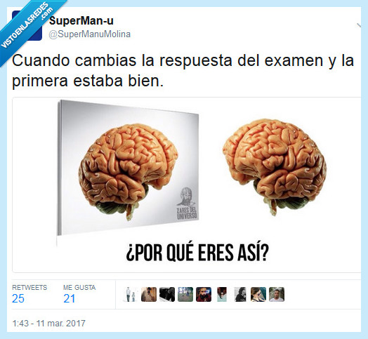 respuesta,cerebro,primera,correcta