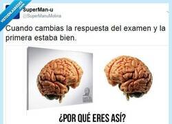 Enlace a Guíate por tu instinto por @supermanumolina