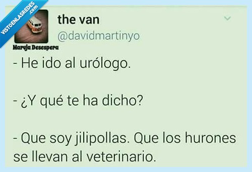 urólogo,hurones,verinario