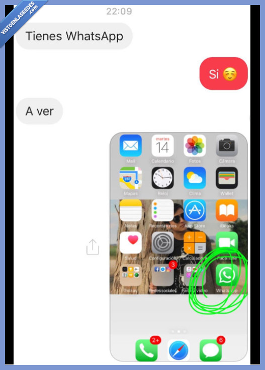 calabazas,whatsapp,elegante,respuesta