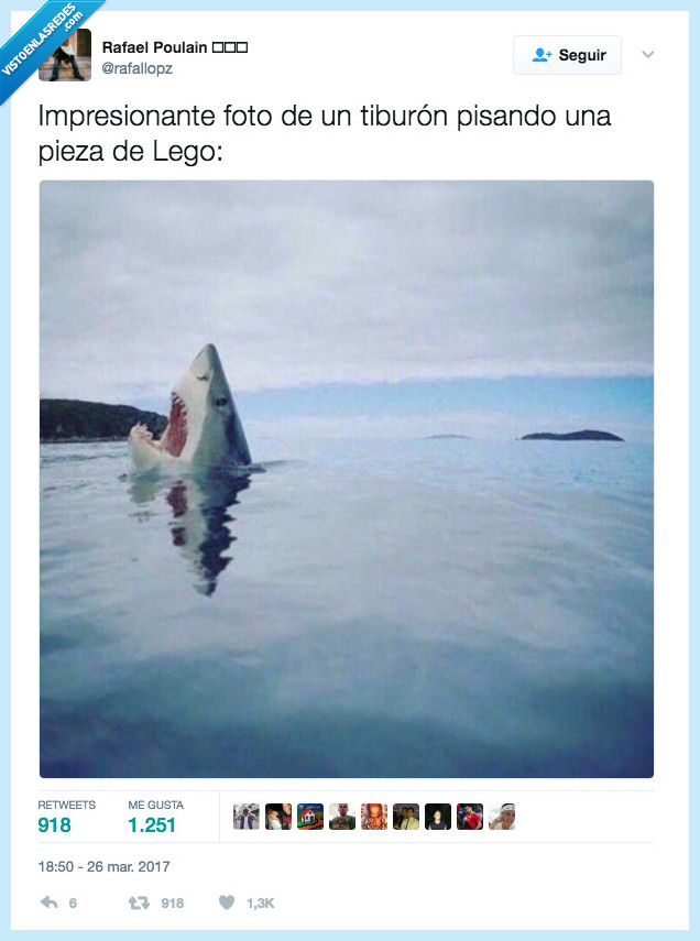 tiburón,lego,dolor