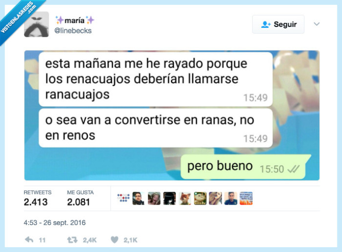 renacuajo,llamar,mañana