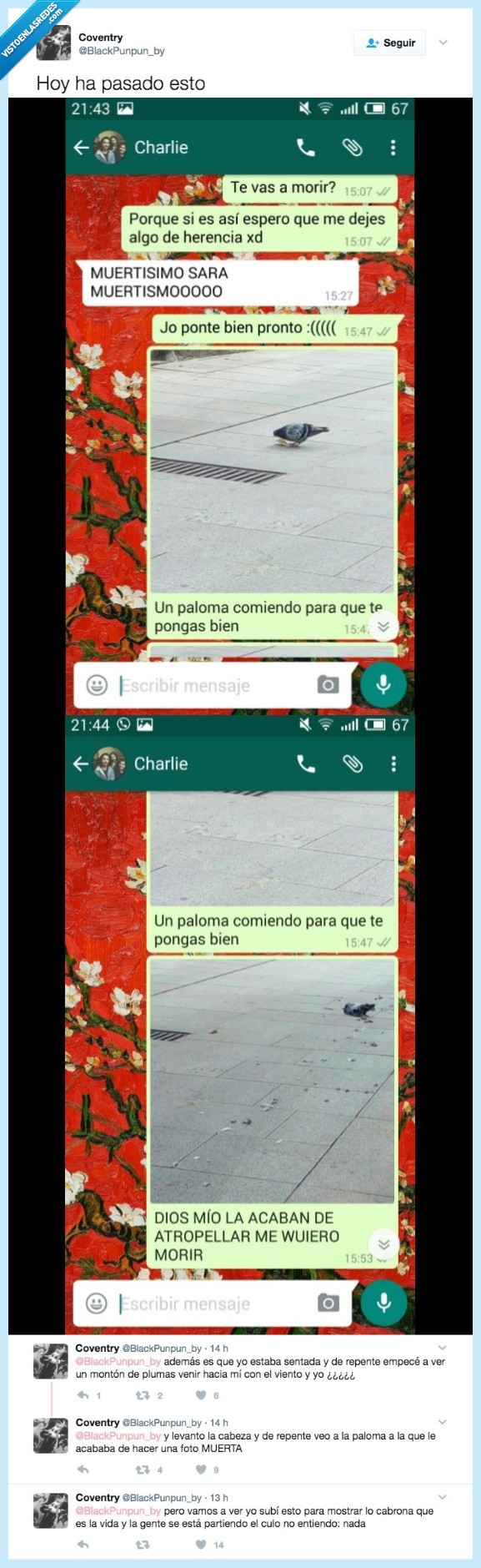 paloma,pasar,muerte,metafora