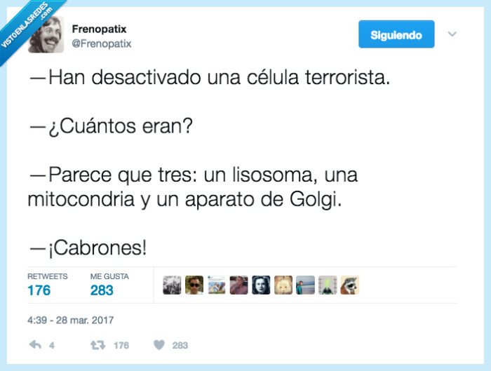 célula,terrorista,biología