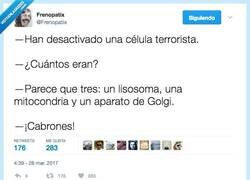 Enlace a Los terroristas más buscados en los libros de biología por @Frenopatix