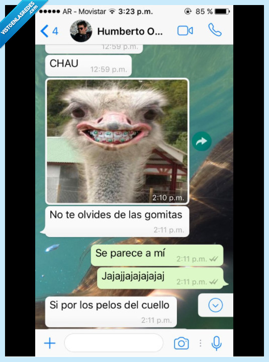 padre,goma,pelo,cuello