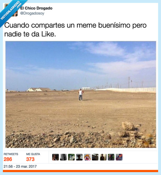 planta,rodadora,desierto,like