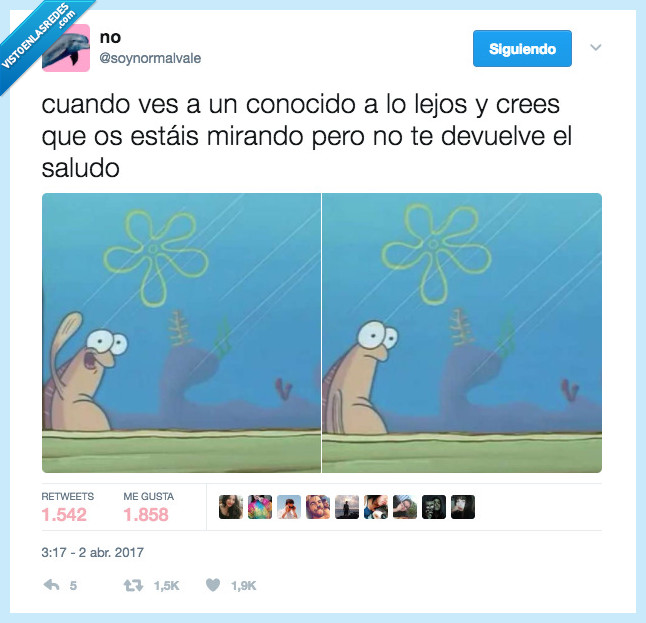 conocido,lejos,devolver,saludo