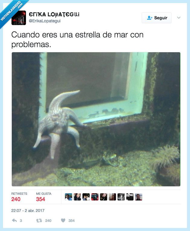 patricio,madurar,vida,asco