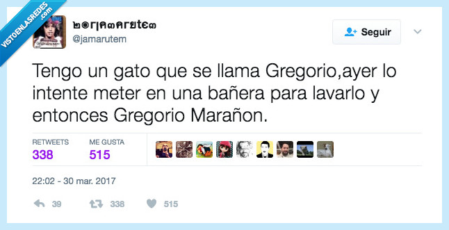 duchar,gatos,arañar