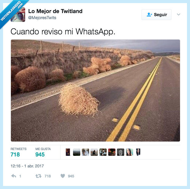 querer,whatsapp,nadie