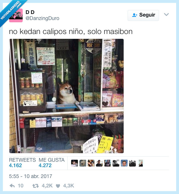 perro,calipos,masibon