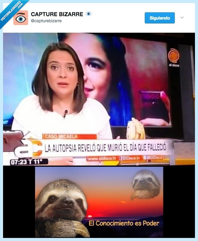 conocimiento,poder,autopsia