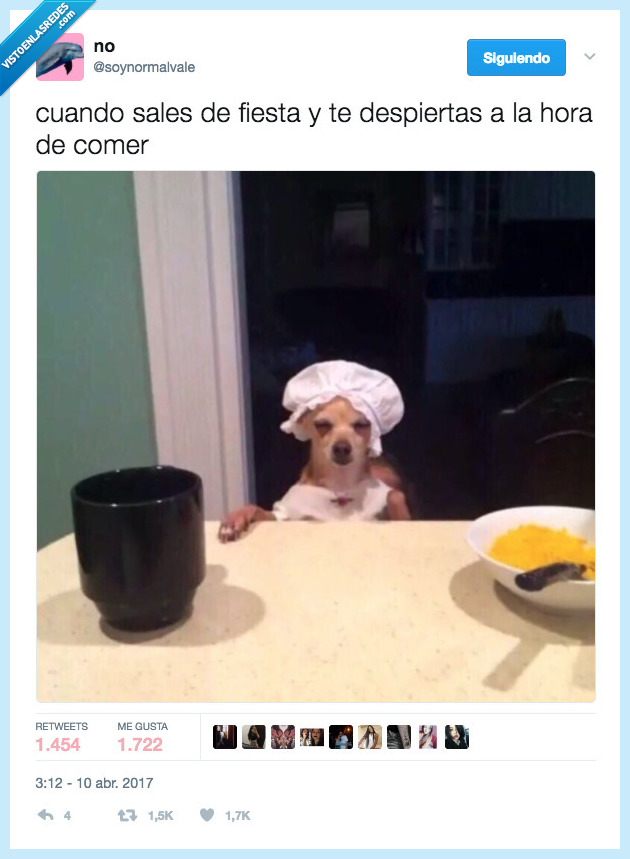 domingo de pascua,resaca,dolor,cabeza,comer,dormir