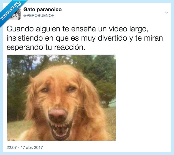 risa,video,enseñar,mirar,reaccion