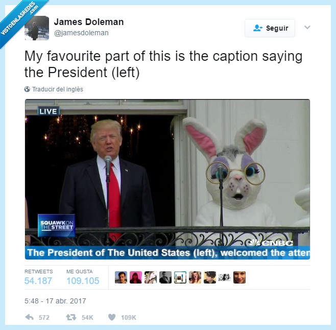 trump,presidente conejo
