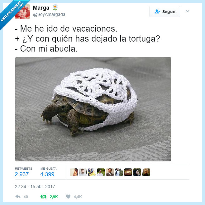 tortuga,ganchillo