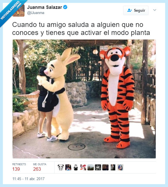 momento,amigo,planta