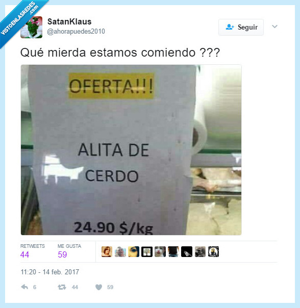 alita,cerdo,comida
