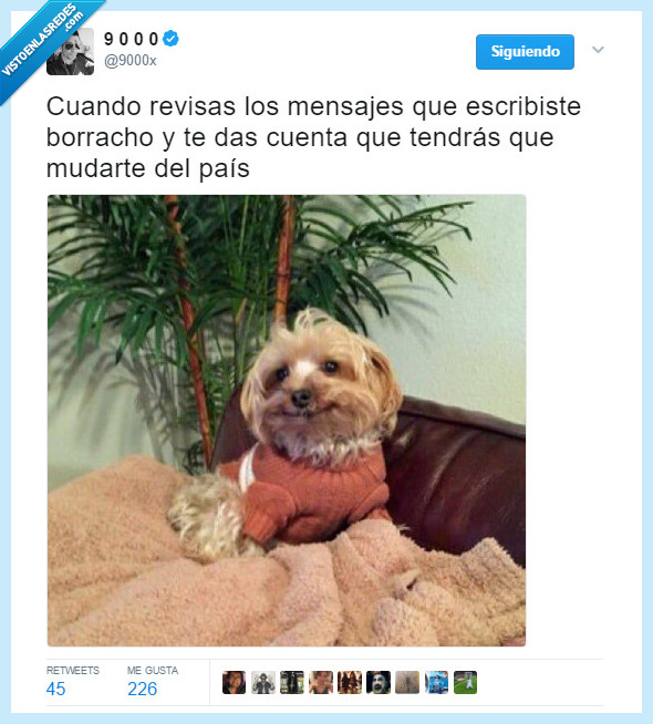 PERRO,DIGNIDAD,MENSAJE
