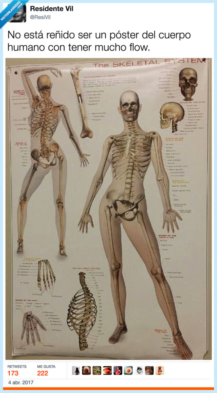 esqueleto,flow,ser,bailongo