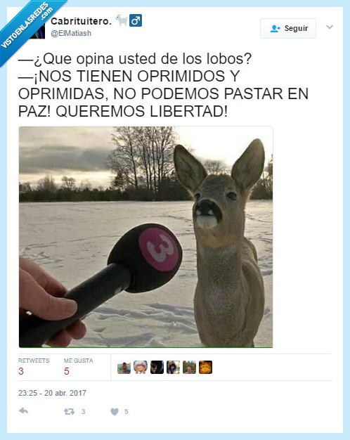 bambi,lobos,opresion