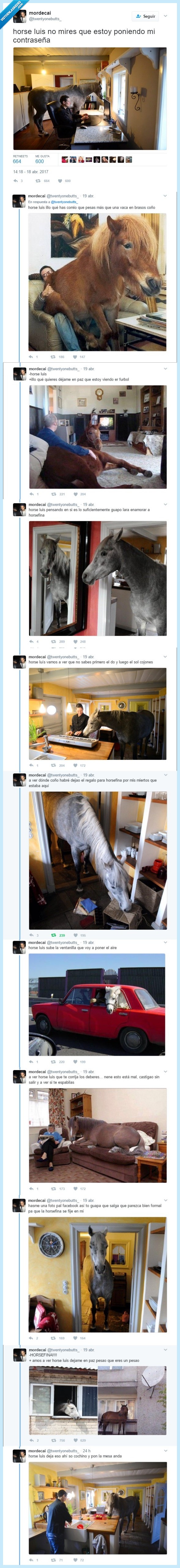 horse luis,horse fina,hilo,caballo