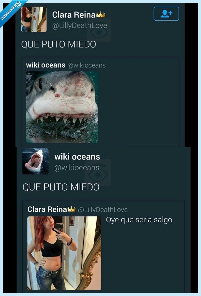 twitter,chica,TIBURÓN