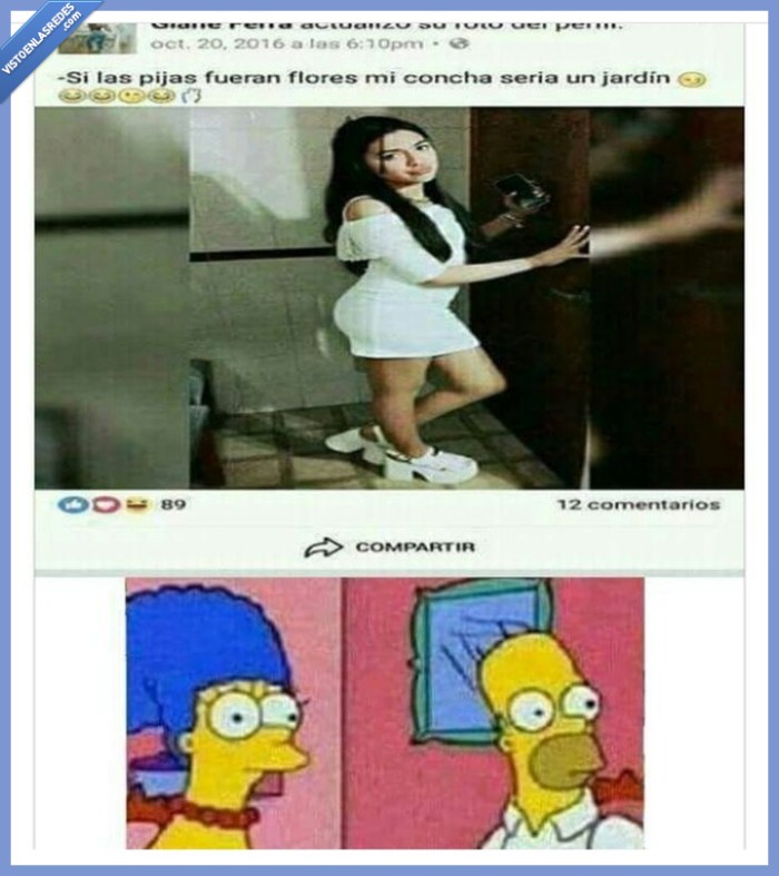 chica,mujer,flores,jardín,concha,simpsons,mclalo