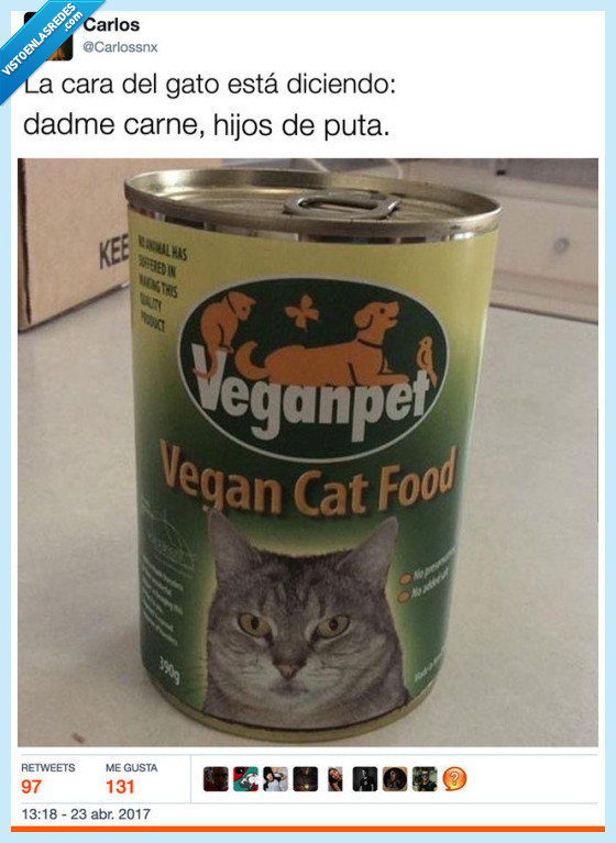 gato,comida vegana,carne