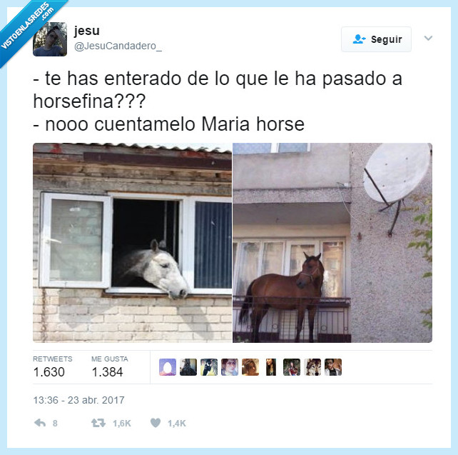 horseluis,foto